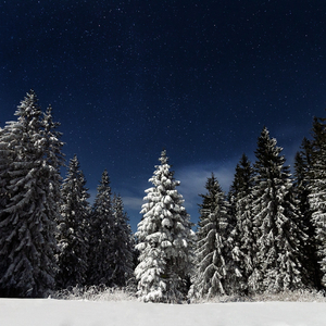 久久99综合国产精品亚洲第二
