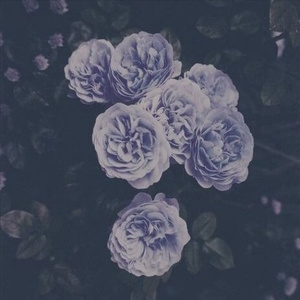 久久99综合国产精品亚洲第二
