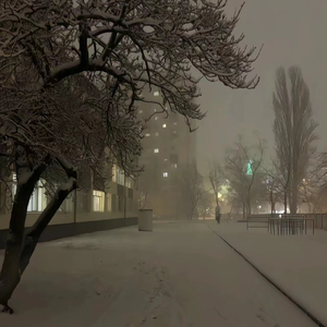 久久99综合国产精品亚洲第二
