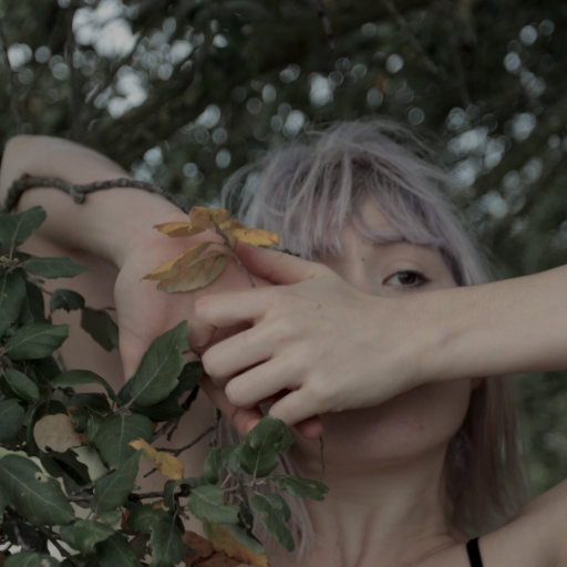 久久99综合国产精品亚洲第二
